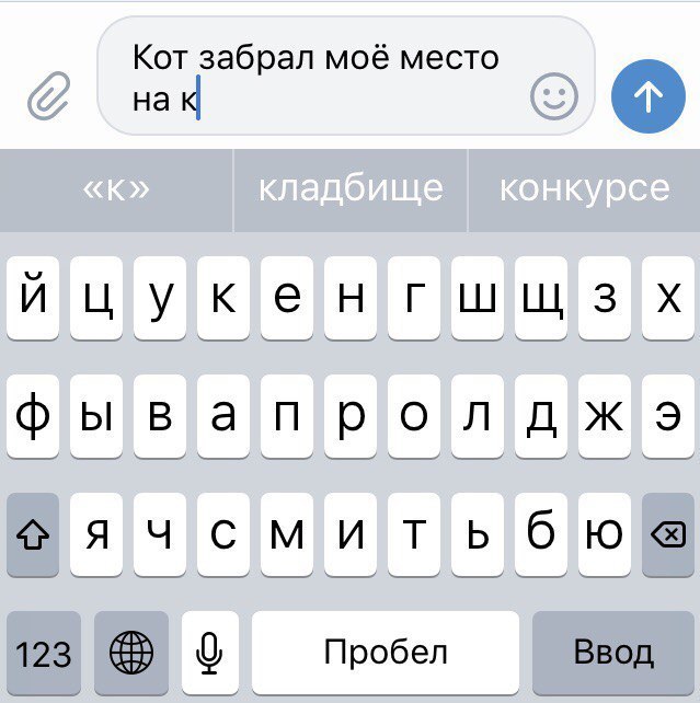 Кот забрал моё место на фыва пролджэ я и 6 123 Пробел Ввод