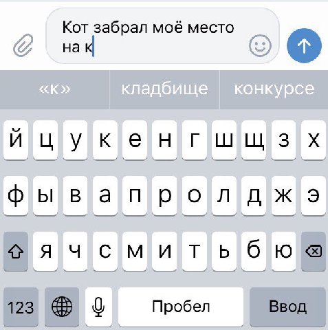 Кот забрал моё место на фыва пролджэ я и 6 123 Пробел Ввод