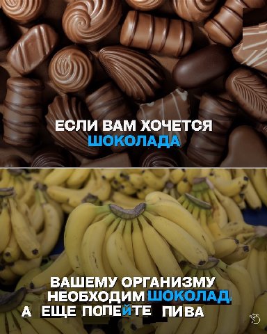 ЕСЛИ ВАМ ХОЧЕТСЯ ВАШЕМУ ОРГАНИЗМУ НЕОБХОДИМ А ЕЩЕ ПОПЕ ПИВА