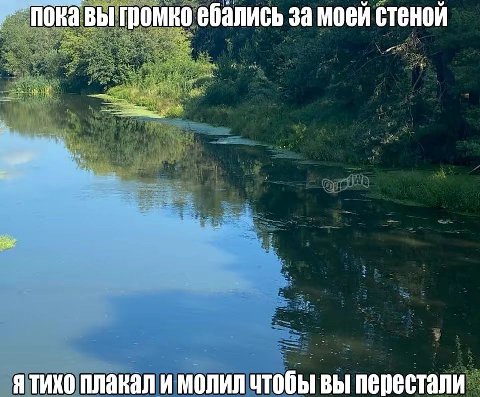 пока вы громко ебались за моей стеной плакал и молил чтобы вы перестали