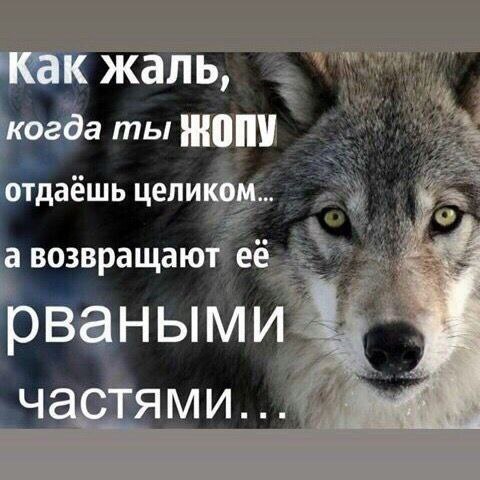 как жаль, когда ты отдаёшь целиком... а возвращают её рваными частями...