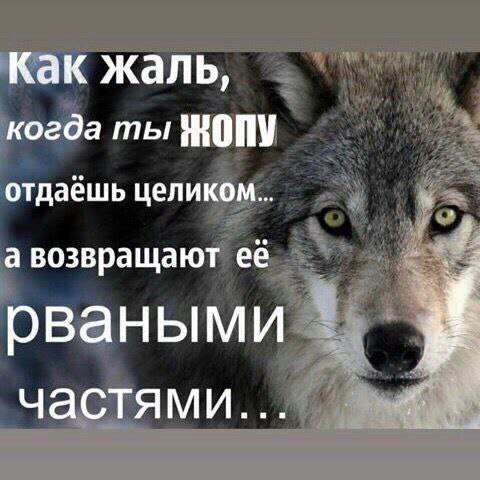 как жаль, когда ты отдаёшь целиком... а возвращают её рваными частями...