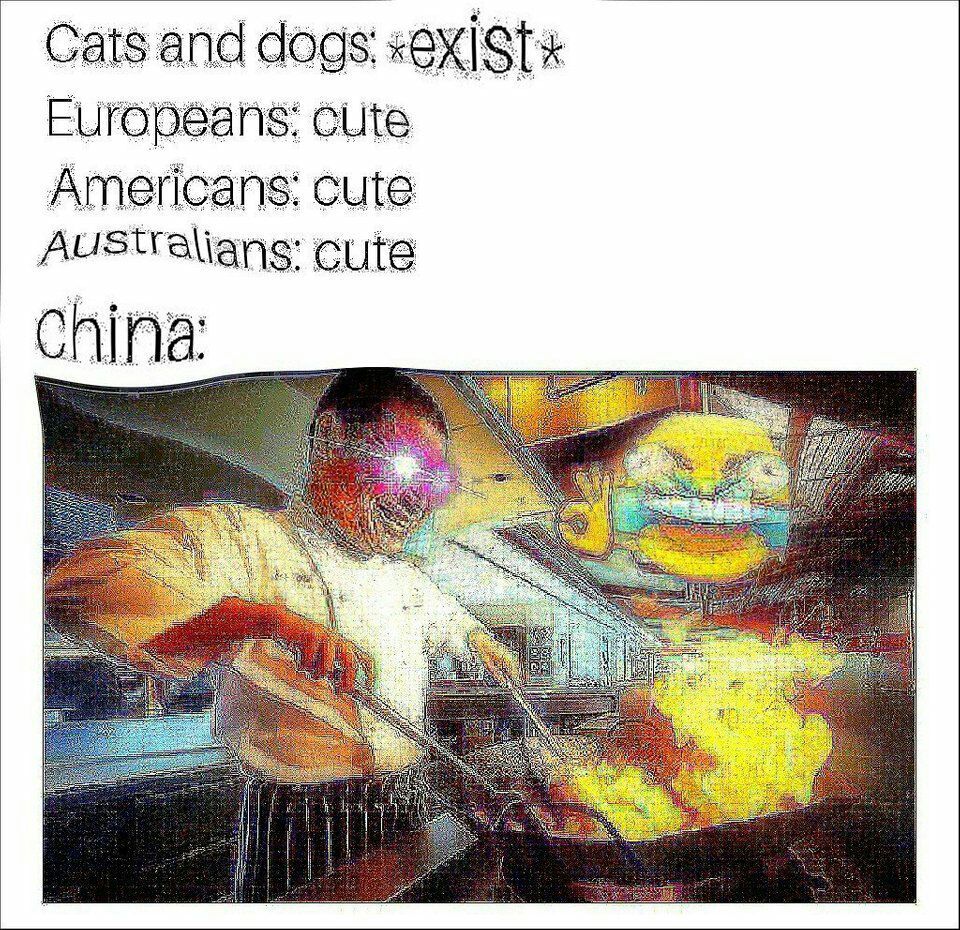 Cats and dogs: Europeans: cute К Americans: cute Australians: cute