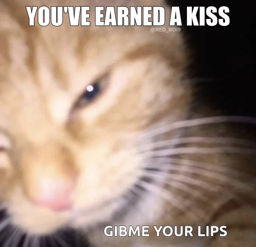 KISS OUR LIPS