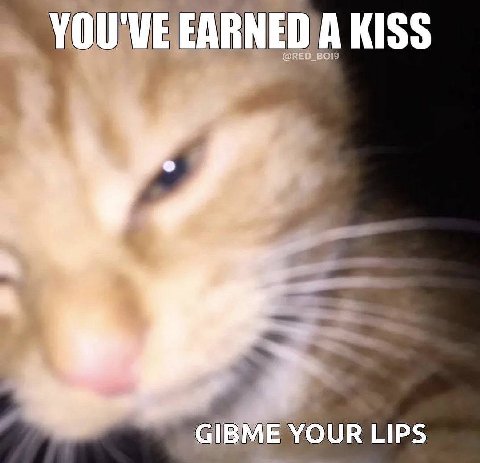 KISS OUR LIPS