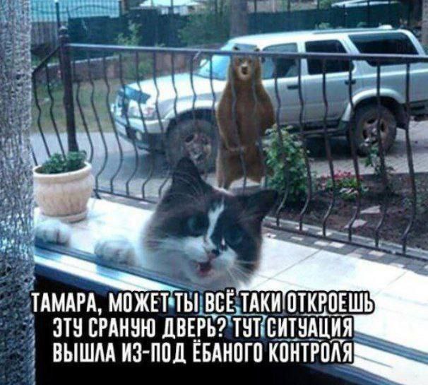 ТАМАРА, МОЖЕТ-ТЫ ВСЕ-ТАКИ ОТКРОЕШЬ ЭТУ СРАНУЮ ДВЕРЬ? ВЫШЛА ИЗ-ПОД ЕБАНОГО