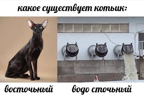 какое котьик: A a 4 4 a A босточьный Gogo сточьный