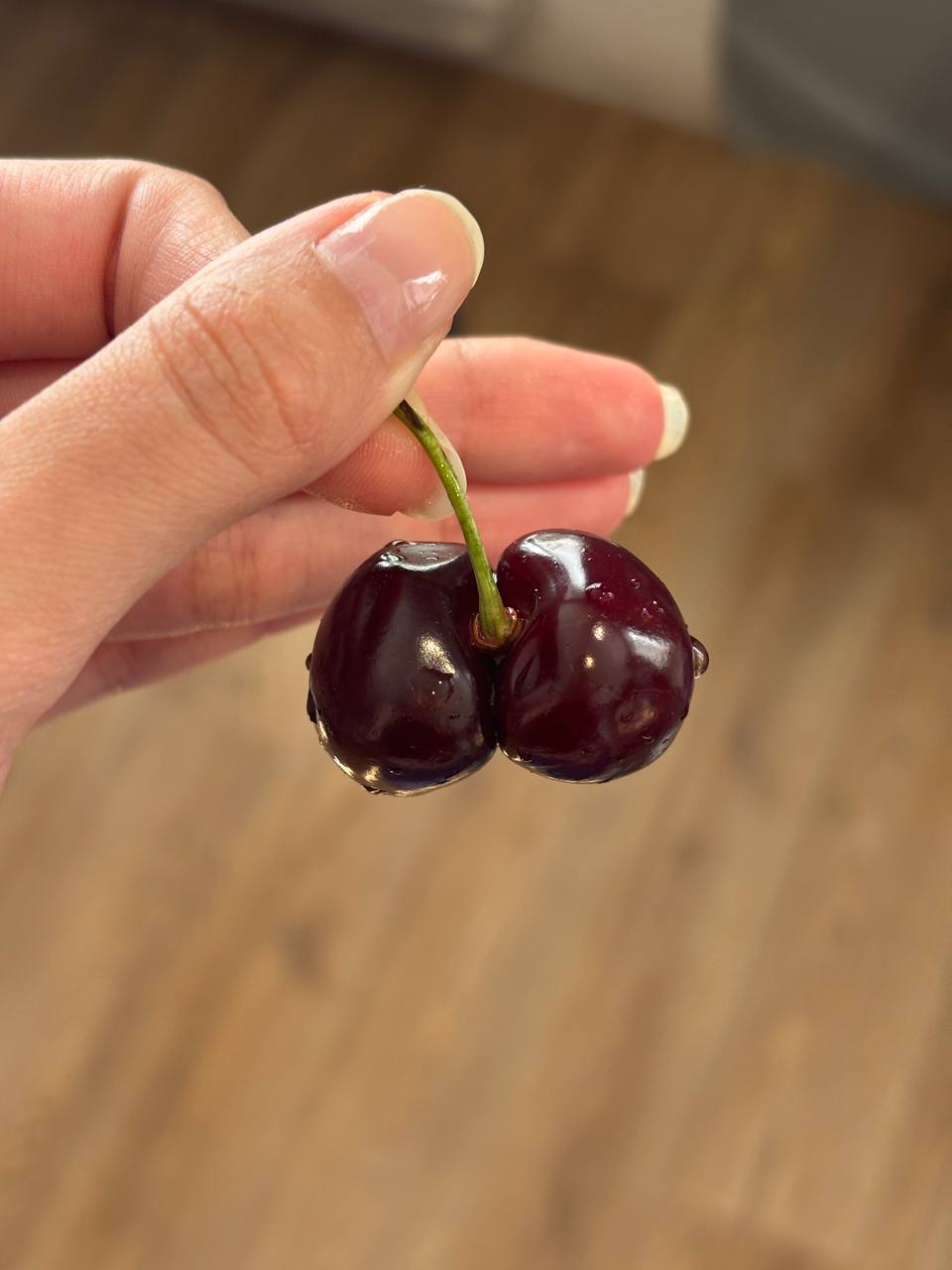 a 4 1