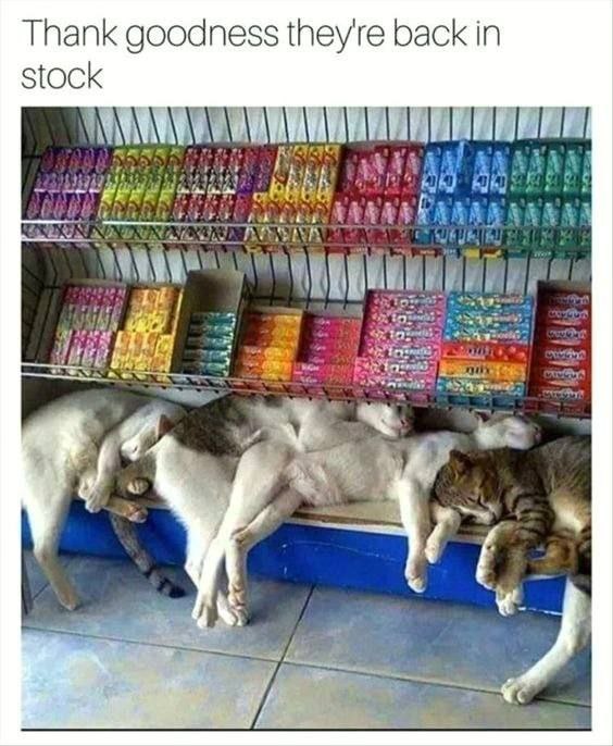 Thank goodness theyre back in stock nee