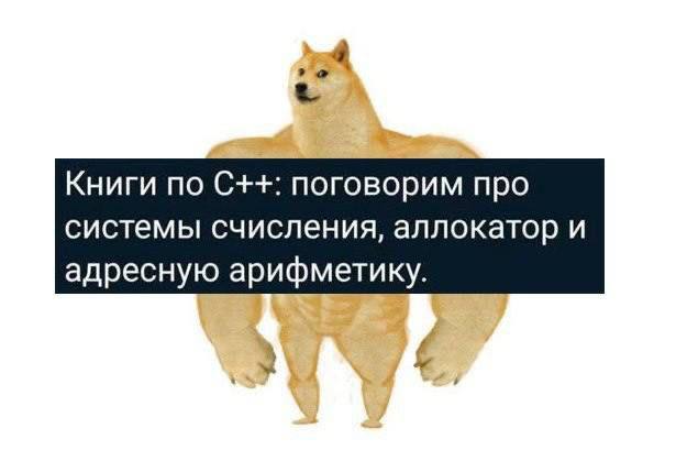 Книги по С++: поговорим про системы счисления, аллокатор и адресную арифметику.