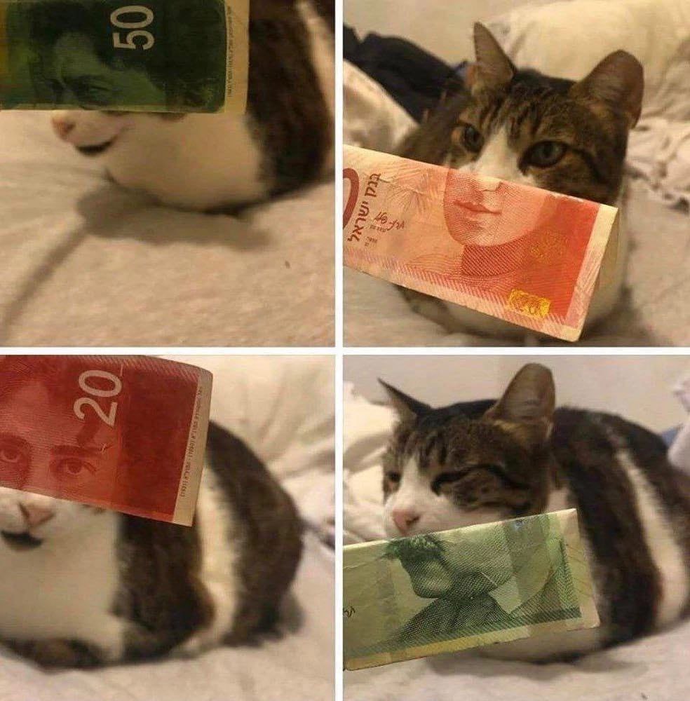 Деньговое