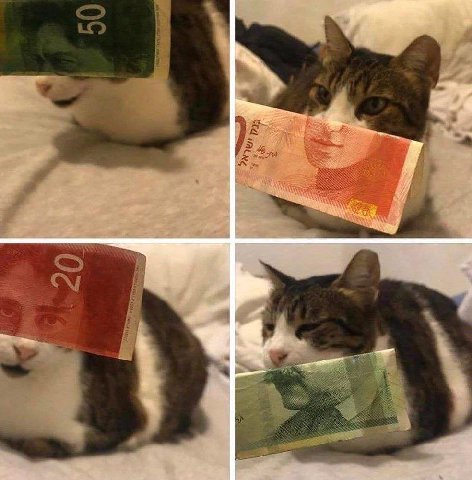 Деньговое
