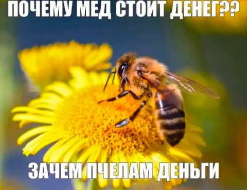 👤 Пельмешек
