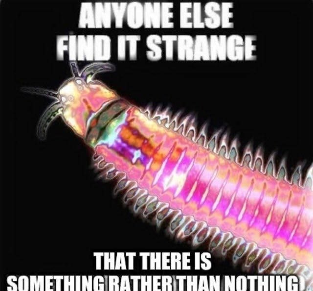 ANYONE ELSE FIND STRANGI THAT ТНЕВЕ [5 COMETHING РАТНЕР NOTHING)