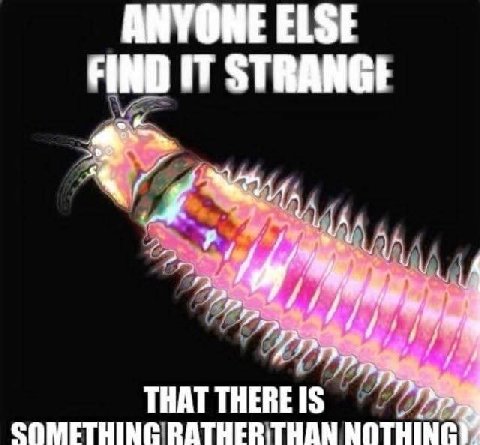ANYONE ELSE FIND STRANGI THAT ТНЕВЕ [5 COMETHING РАТНЕР NOTHING)