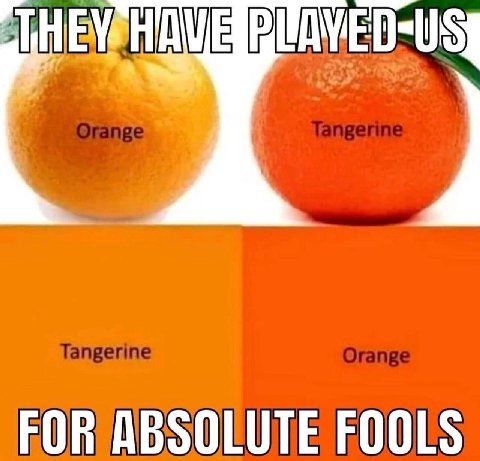 FOR ABSOLUTE FOOLS