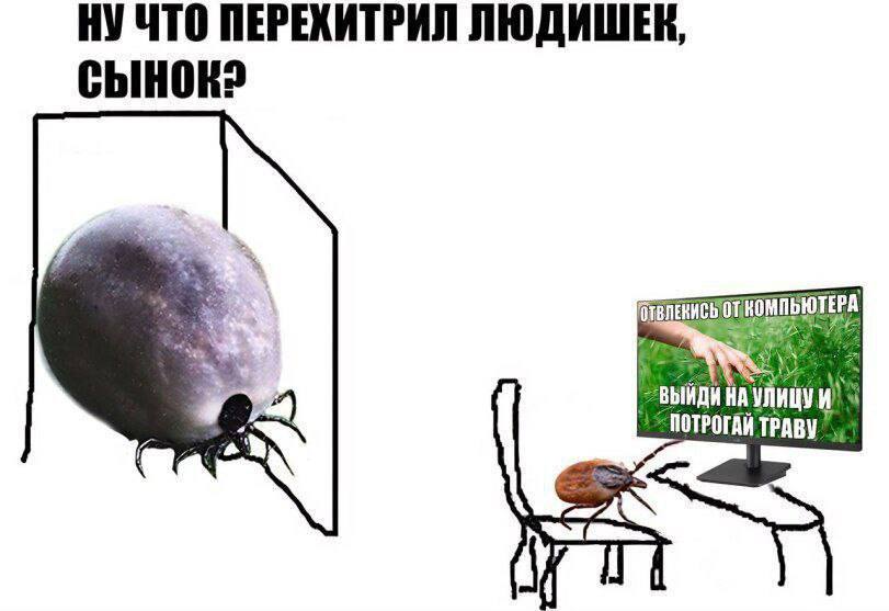 НУЧТО ПЕРЕХИТРИЛ ЛЮДИШЕЕК, НАУЛИЦУИ ПОТРОГАЙ ТРАВУ on