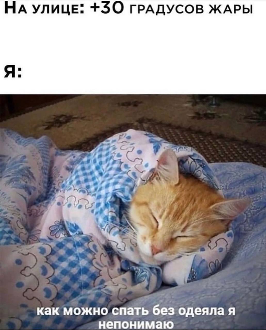 НА УЛИЦЕ: +30 ГРАДУСОВ ЖАРЫ Я: у как можно спать без одеяла я непонимаю