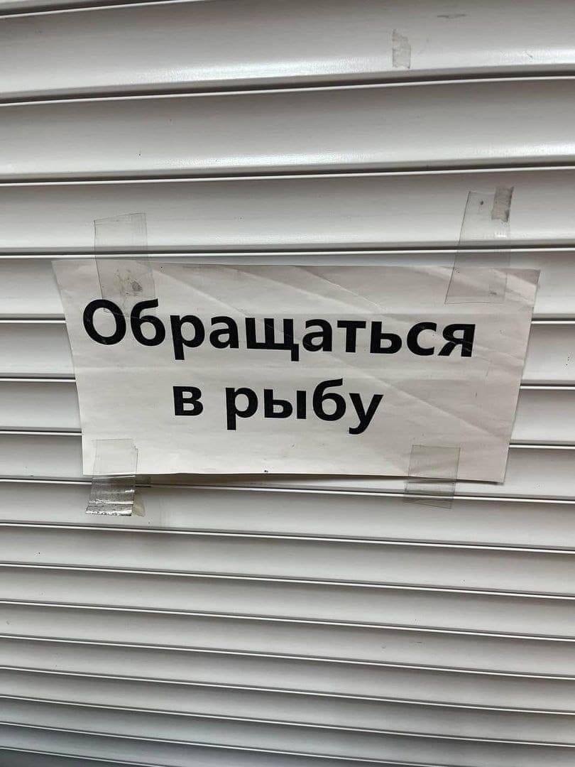 бращаться в рыбу