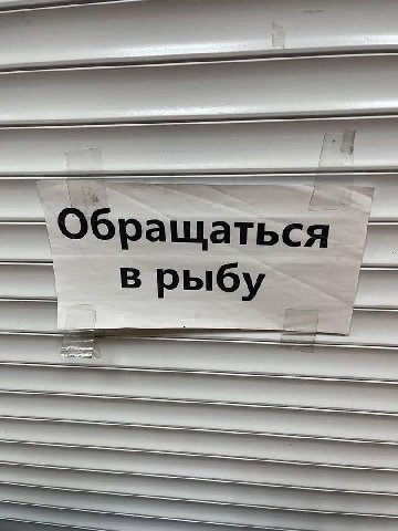бращаться в рыбу