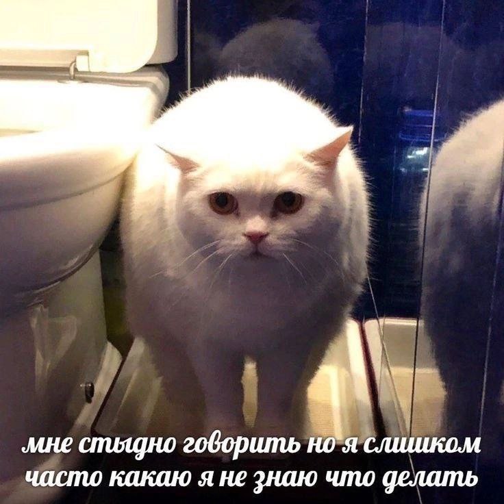 -4 мне спиядно говорить слишком часто какаю я не знаю что делать