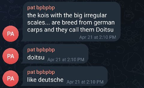 pat bpbpbp the kois with the big irregular scales... are breed from german carps and they call them Doitsu Apr 21 at 2:10 pat bpbpbp doitsu дрг21 at 2:10 pat bpbpbp like deutsche at 2-10