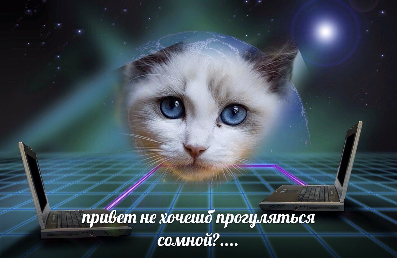 и npuGem не хочешд прогуляться