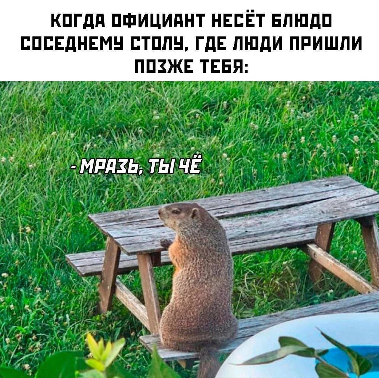 КОГДА ОФИЦИАНТ НЕСЁТ БЛЮДО СОСЕДНЕМУ СТОЛУ, ГДЕ ЛЮДИ ПРИШЛИ ПОЗЖЕ ТЕБЯ: -МРАЗЬ,