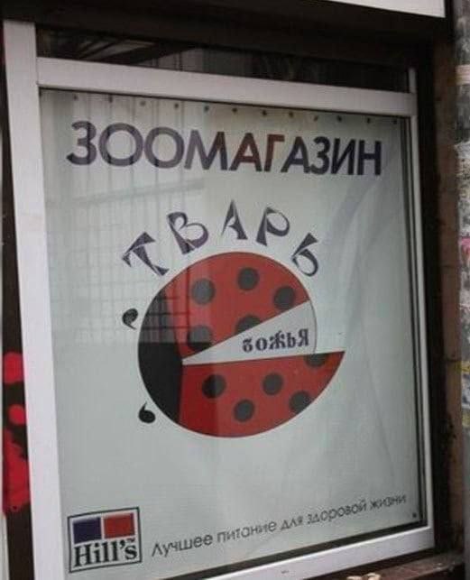 ЗООМАГАЗ совой