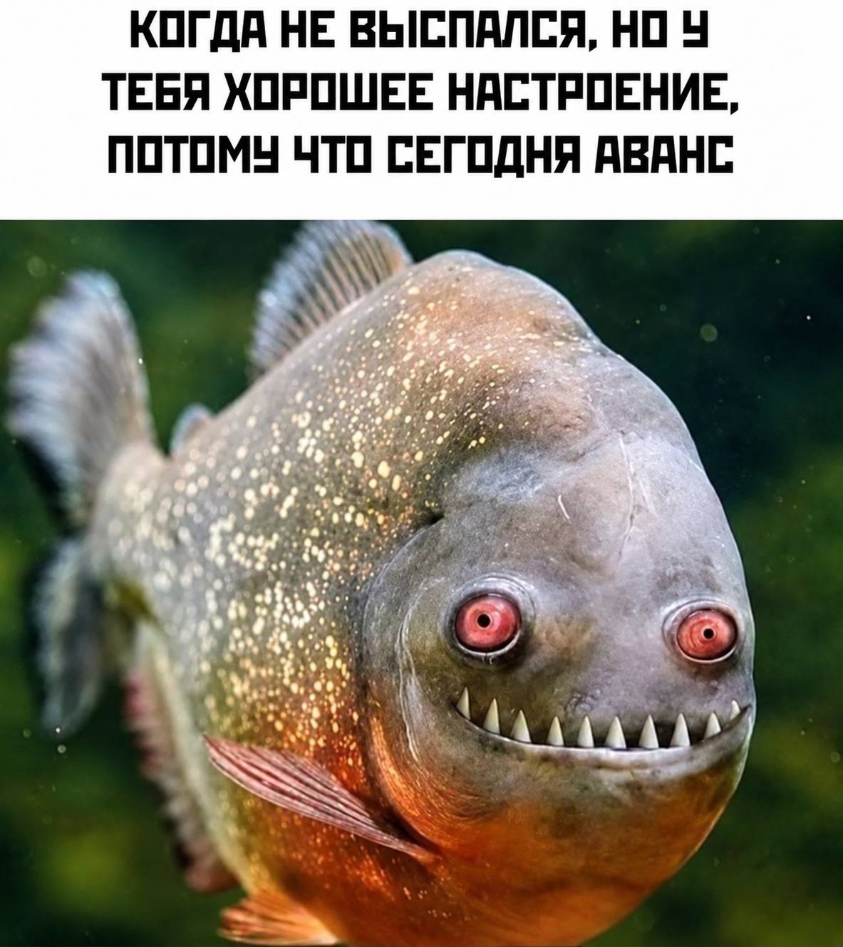 КОГДА НЕ ВЫСПАЛСЯ, НО У ТЕБЯ ХОРОШЕЕ НАСТРОЕНИЕ, ПОТОМУ ЧТО СЕГОДНЯ АВАНС we a” а