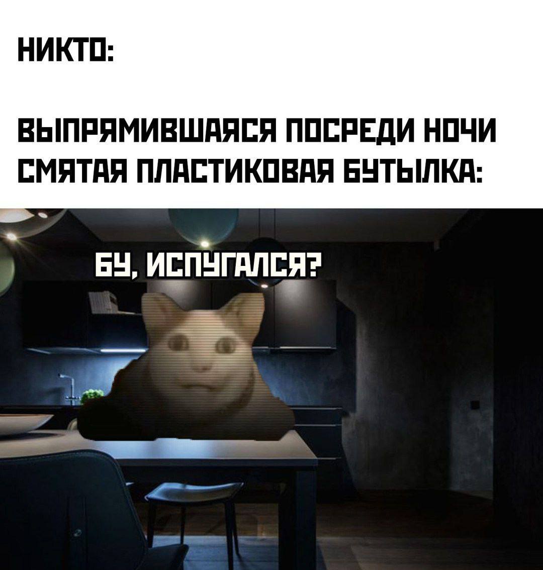 НИКТО: ВЫПРЯМИВШАЯСЯ ПОСРЕДИ НОЧИ СМЯТАЯ ПЛАСТИКОВАЯ БУТЫЛКА: ИСПУГАЛСЯ?