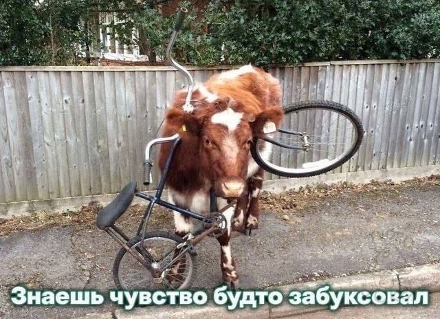 Som A И 4 Знаешь чувство будто забуксовал
