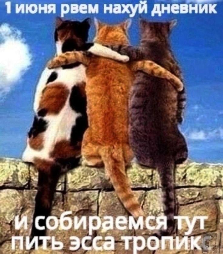 1 июня рвем нахуй дневник в 1 a собираемся тут пить эсса тропик