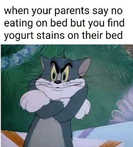 when your parents say по eating on bed but you find yogurt stains on their bed К