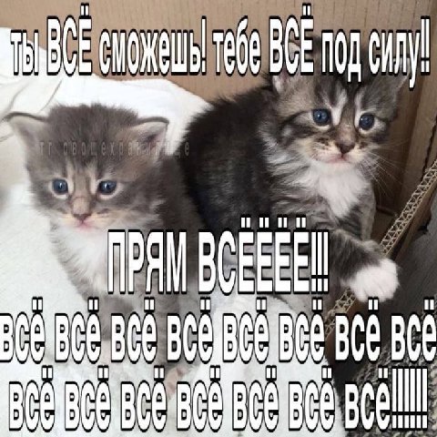 ibe и