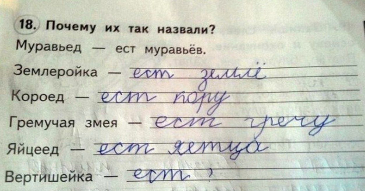 18. Почему так назвали? Муравьед ест муравьёв. Гремучая змея Яйцеед в Вертишейка