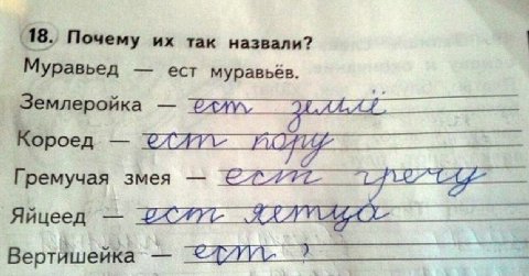 18. Почему так назвали? Муравьед ест муравьёв. Гремучая змея Яйцеед в Вертишейка