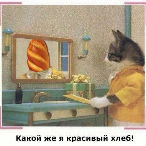 Какой же я красивый хлеб!