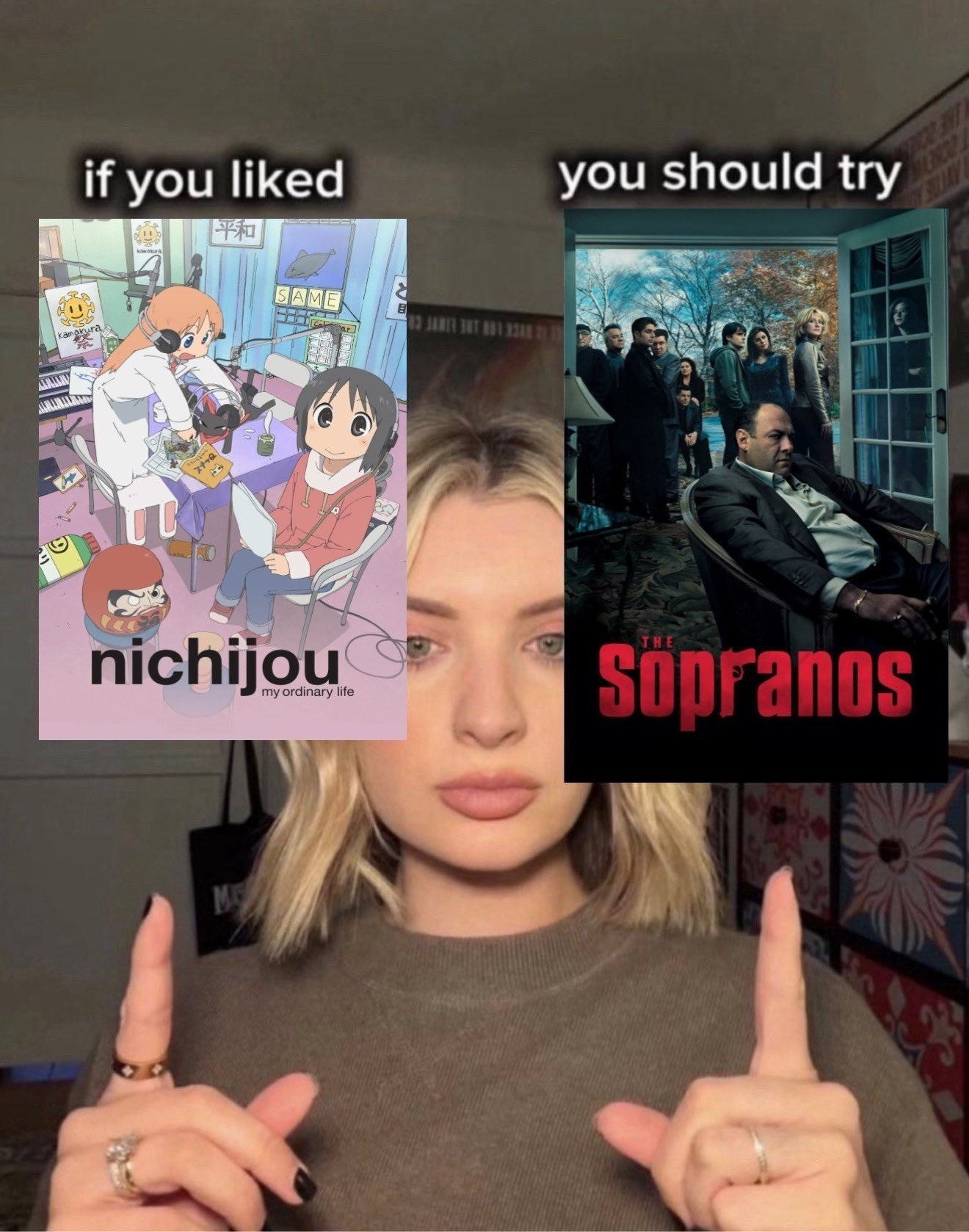 if you liked you should try