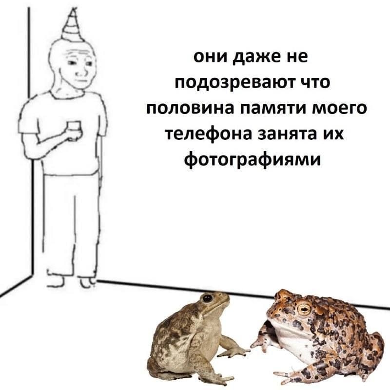 my dudes