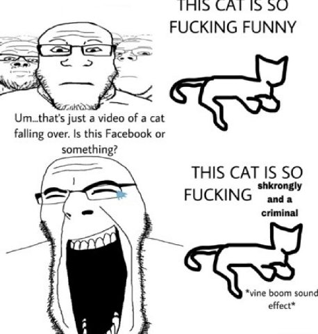 CAT Ids >59 FUCKING FUNNY just a video of a cat falling over. Is this Facebook or something? THIS CAT IS SO shkrongl FUCKING criminal *vine boom sound