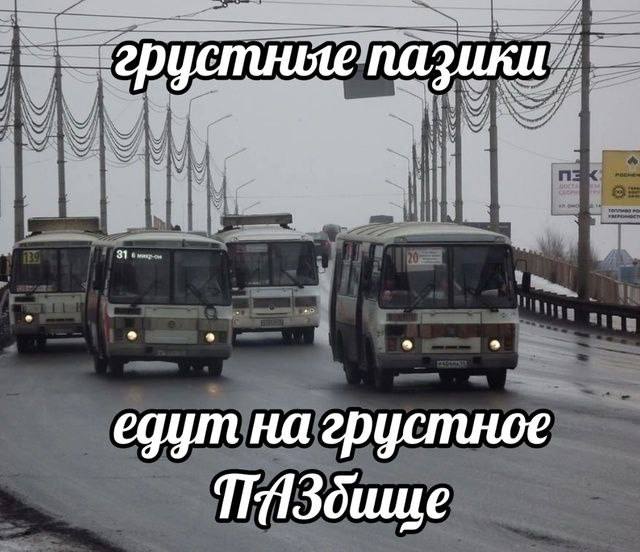 грустные пазики