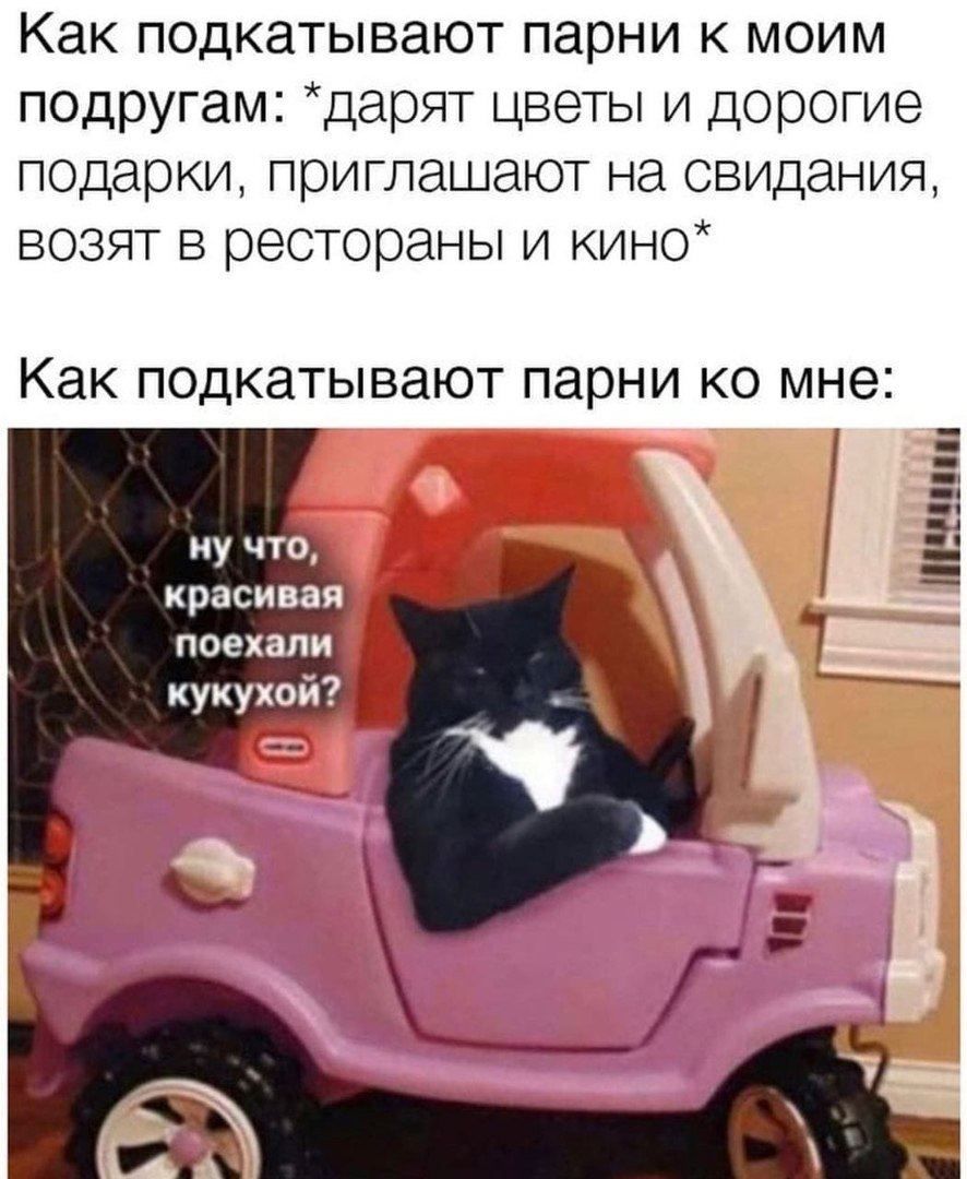 Как подкатывают парни к моим подругам: *дарят цветы и дорогие подарки, приглашают на свидания, возят в рестораны и кино* Как подкатывают парни мне: ну что, красивая поехали 4 кукухой? У
