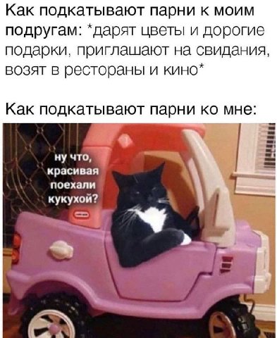 Как подкатывают парни к моим подругам: *дарят цветы и дорогие подарки, приглашают на свидания, возят в рестораны и кино* Как подкатывают парни мне: ну что, красивая поехали 4 кукухой? У