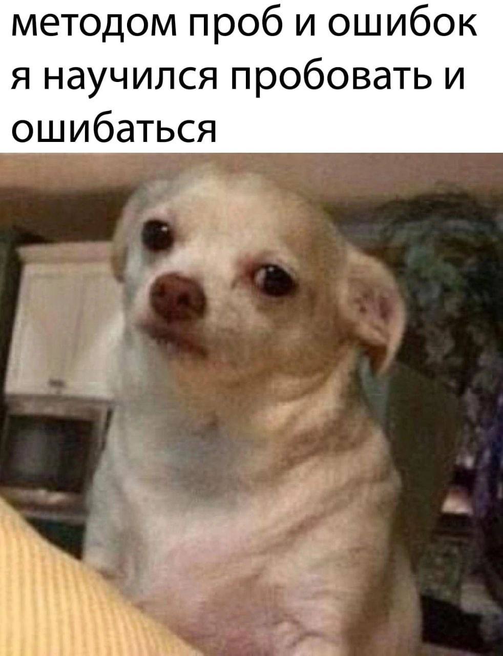 методом проб и ошибок я научился пробовать и ошибаться