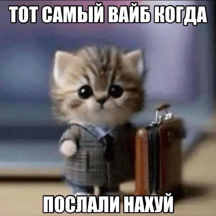 ТОТ САМЫЙ ВАЙБ КОГДА ПОСЛАЛИ НАХУЙ