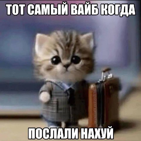 ТОТ САМЫЙ ВАЙБ КОГДА ПОСЛАЛИ НАХУЙ