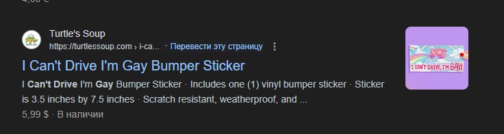 Turtle's Soup hitps:/Aurtlessoup.com Перевести эту страницу Can't Drive Gay Bumper Sticker Can't Drive Gay Bumper Sticker Includes one (1) vinyl bumper sticker Sticker is 3.5 inches 7.5 inches Scratch