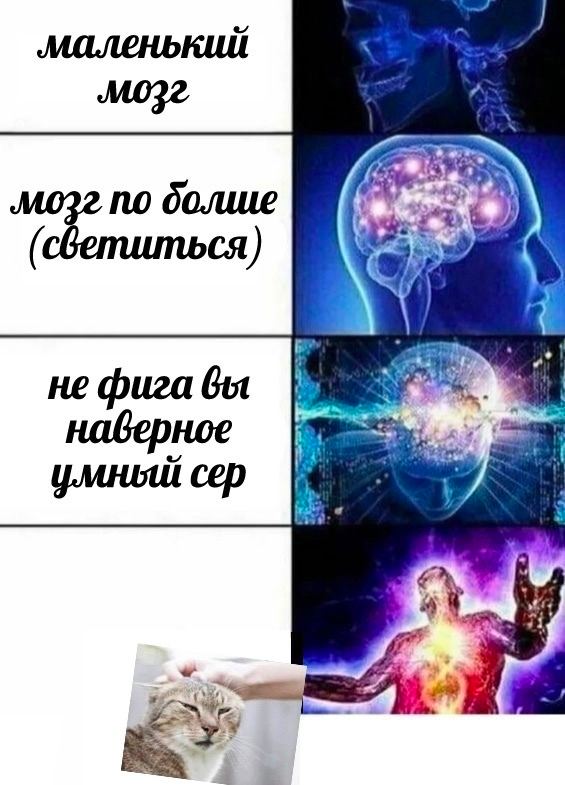 маленький болше не фига наверное умный сер