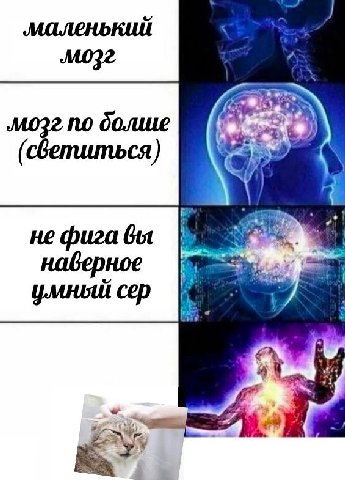 маленький болше не фига наверное умный сер